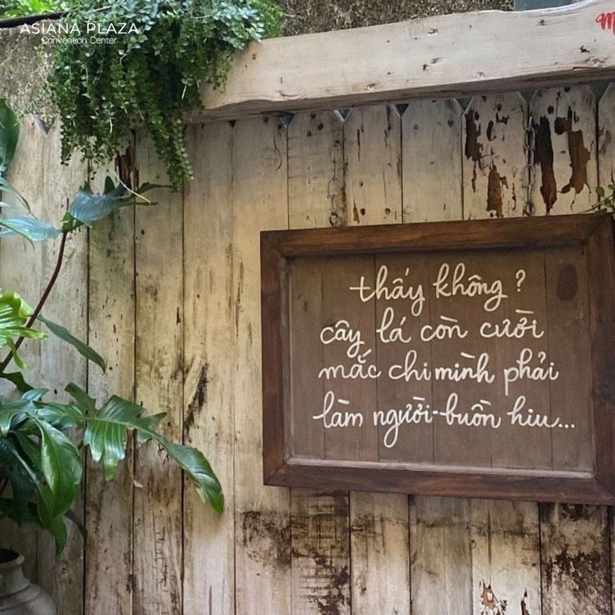 Tình yêu nhẹ nhàng và sâu lắng