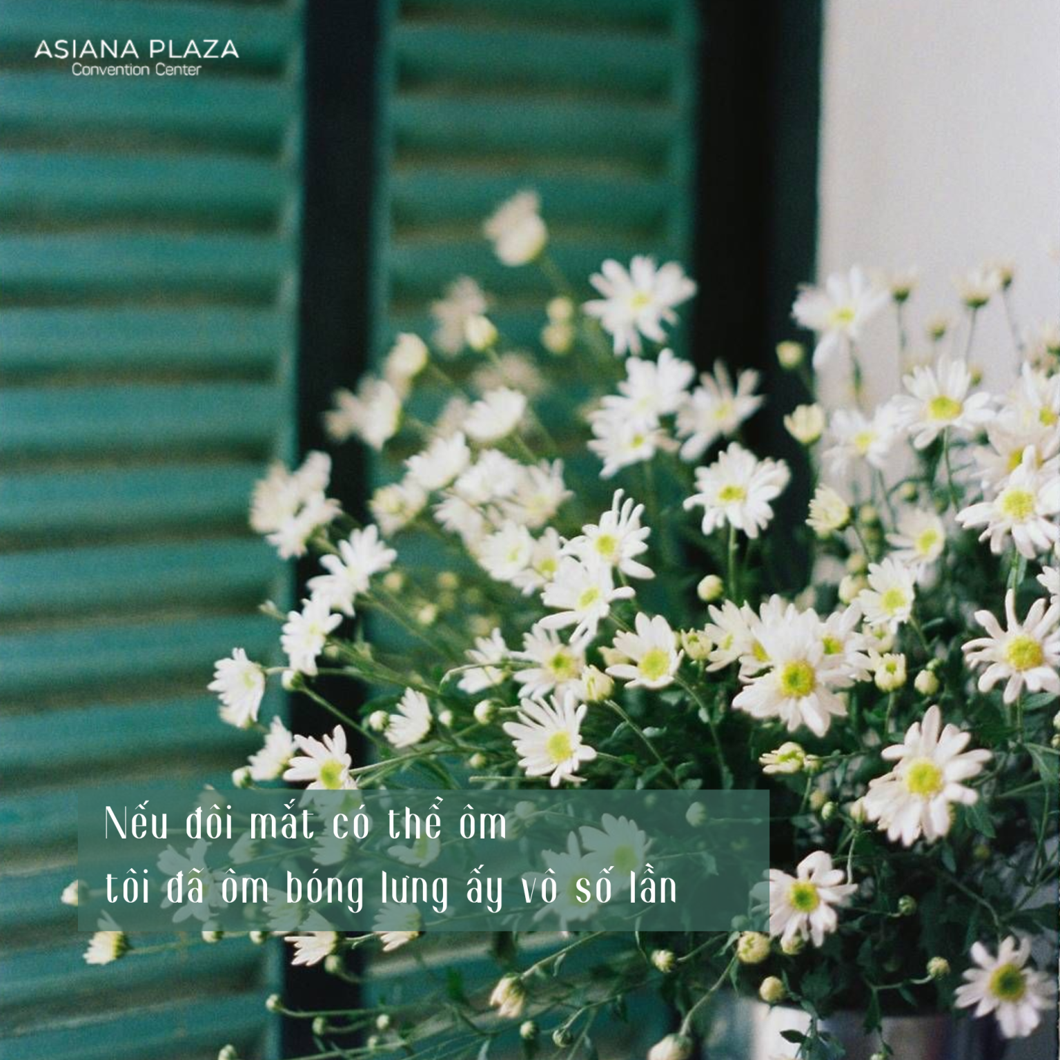 Cái nhìn đơn phương lặng lẽ