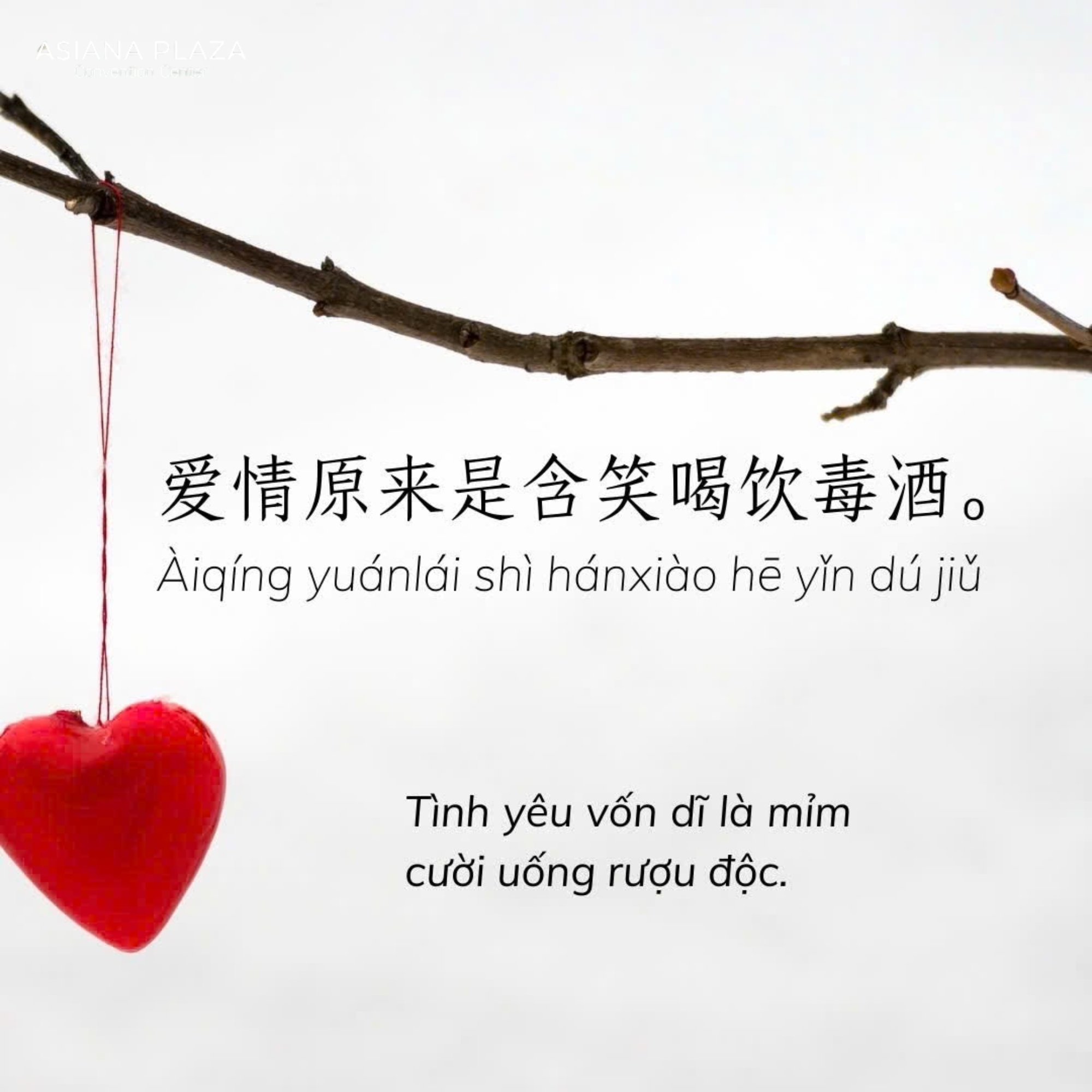 Câu nói đúng tâm trạng yêu