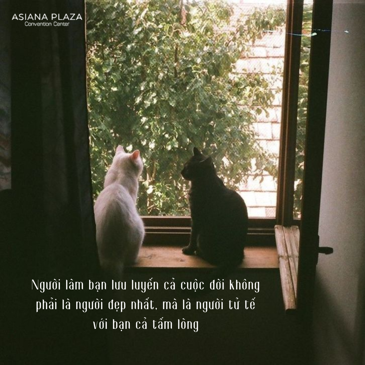 Lời yêu thương giản dị
