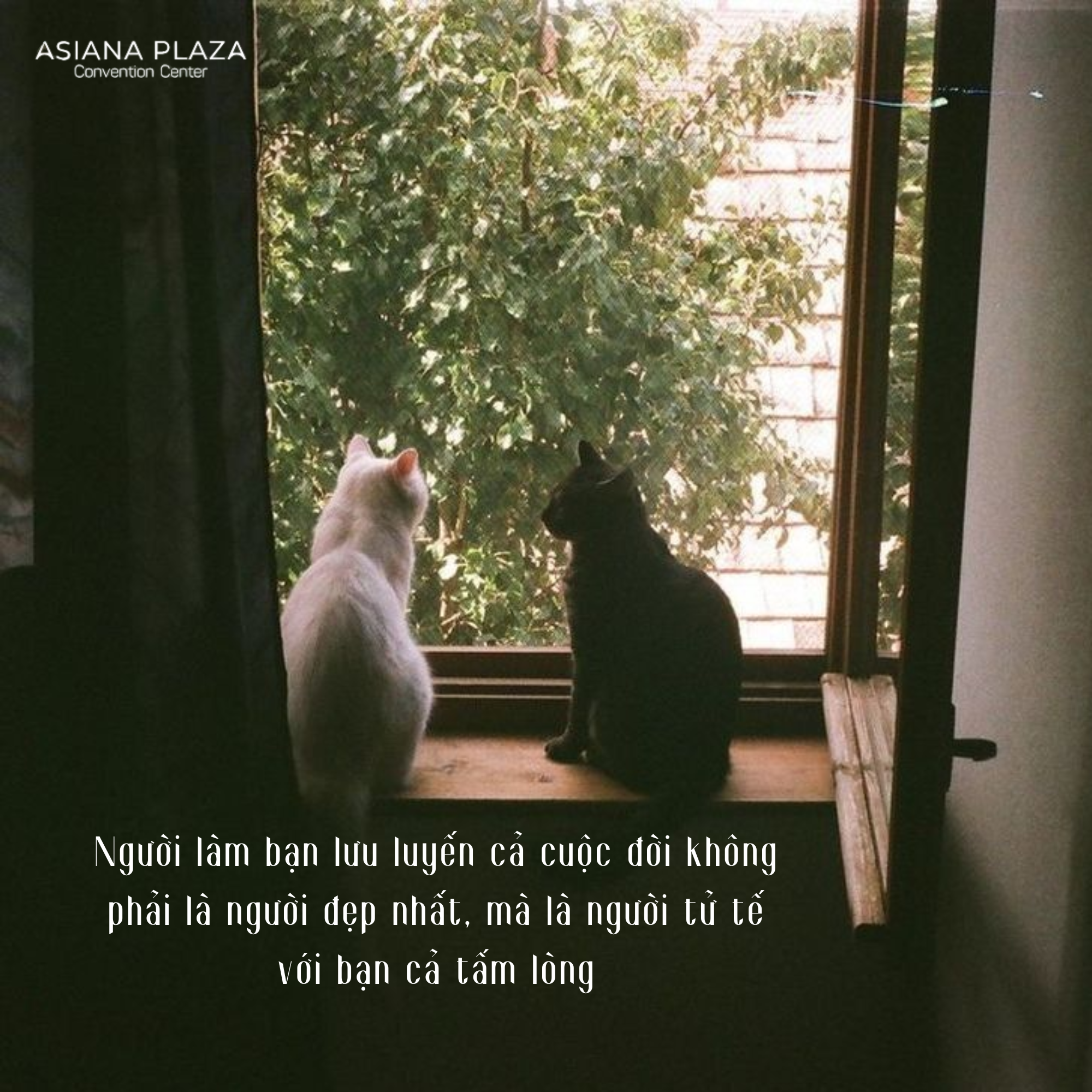 Lời yêu thương giản dị