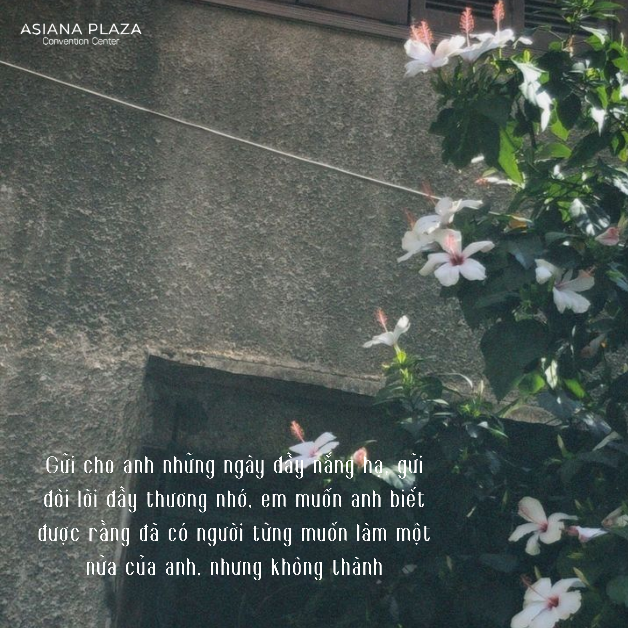 Tình yêu là gam màu sáng giữa cuộc đời xám, nhưng rồi cũng có thể phai