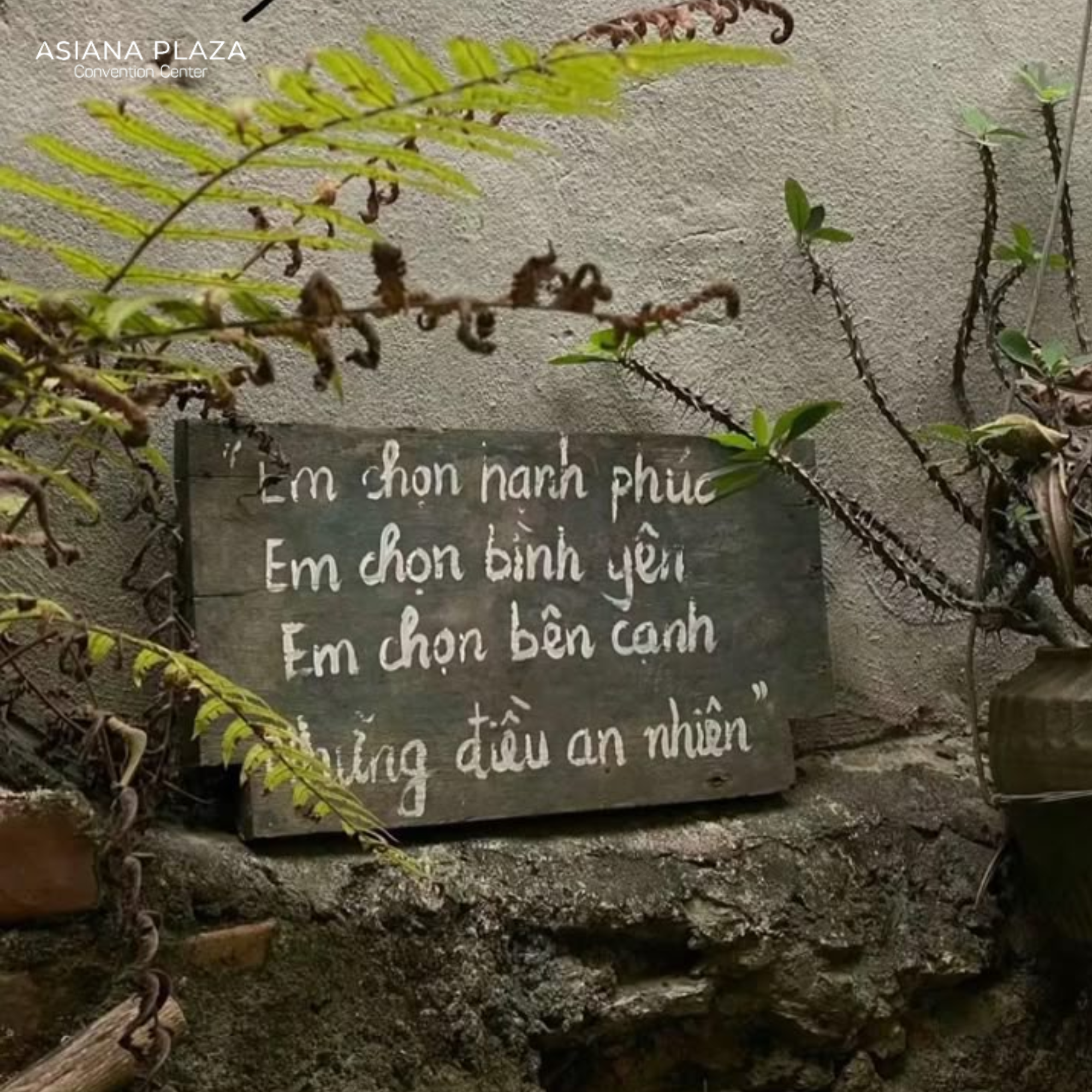 Khoảnh khắc ngọt ngào bên nhau
