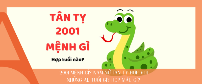 2001 mệnh gì