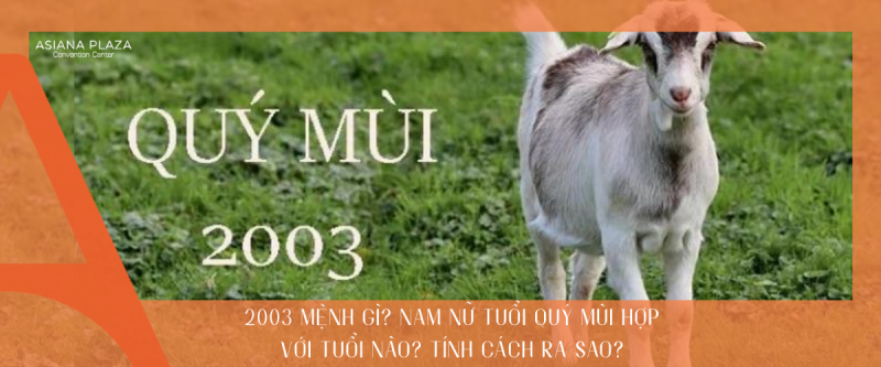 2003 mệnh gì