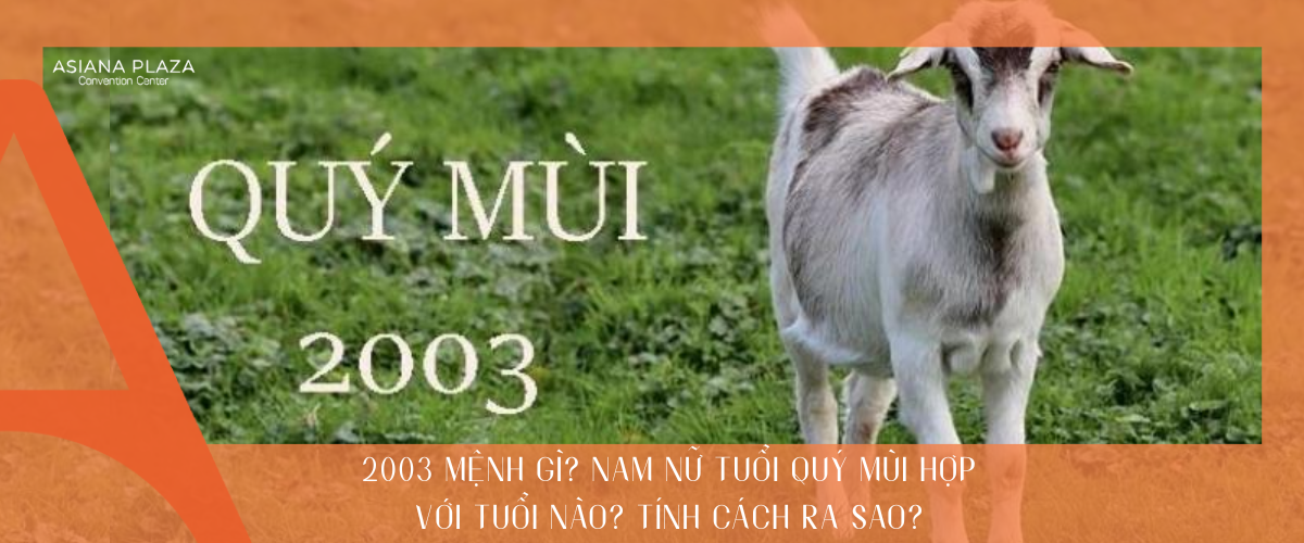 2003 mệnh gì