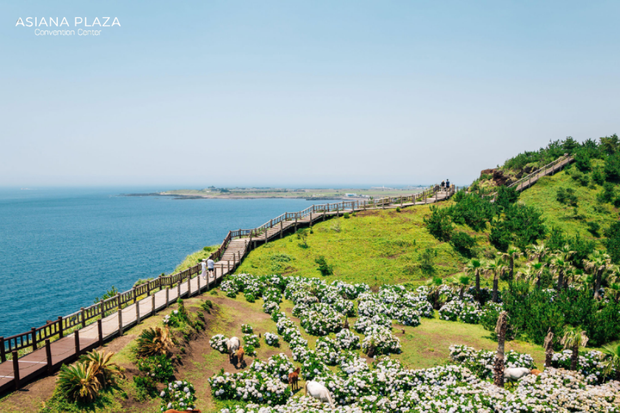 hưởng tuần trăng mật ở đâu