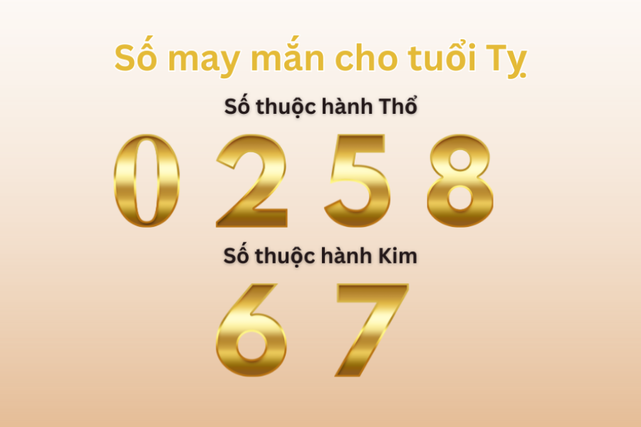 Số may mắn Tân Tỵ