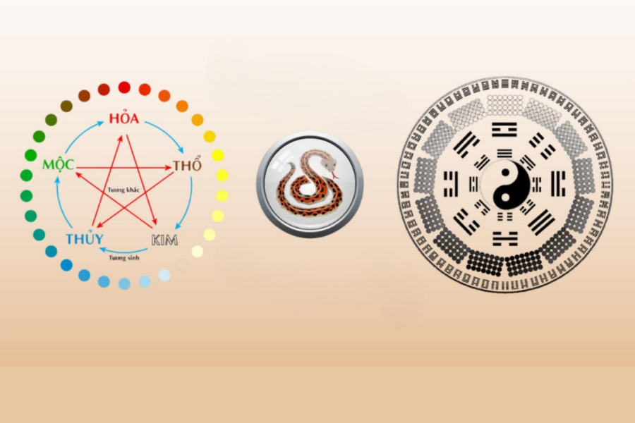 Năm hạn Tân Tỵ