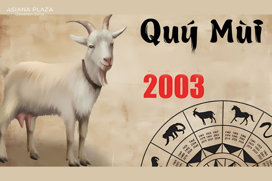 2003 mệnh gì tuổi gì