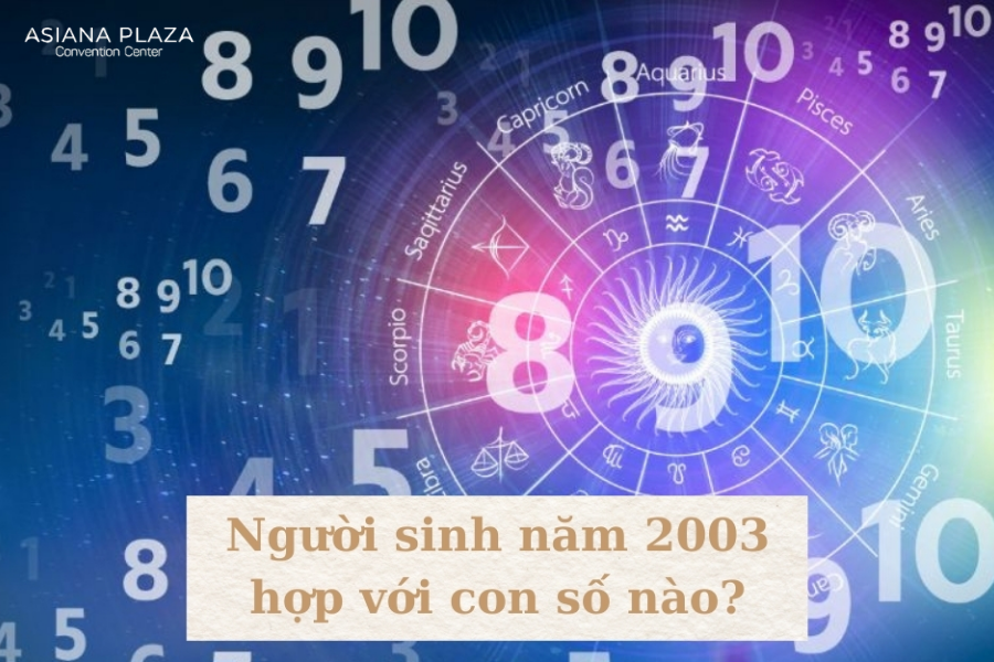 người tuổi mùi 2003 mệnh gì