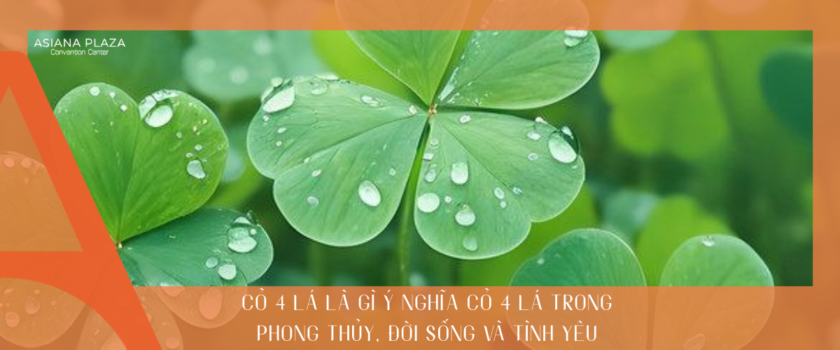 cỏ 4 lá