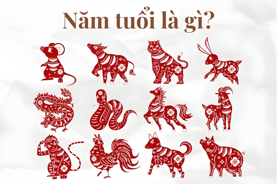 ý nghĩa năm tuổi phong thủy